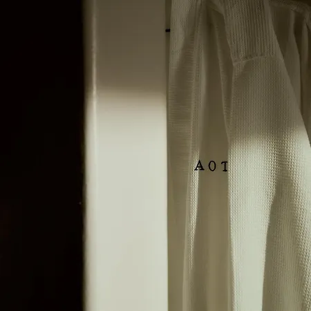 Aoto *